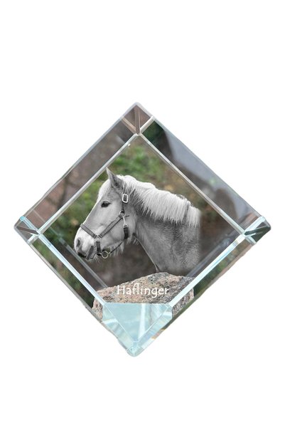 Art - Dog Prespapier cub de cristal Art-Dog Haflinger cu gravură de cal - Cri...