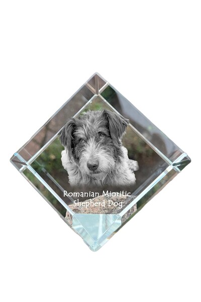 Art - Dog Prespapier cub de cristal Art-Dog, câine de pastur român mioritic, ...