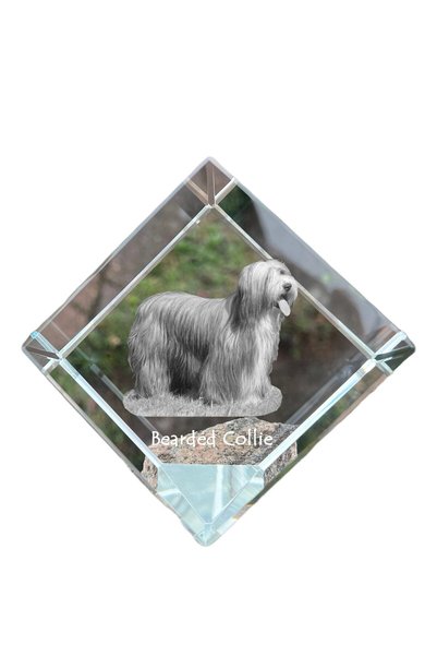 Art - Dog Prespapier Cub de Cristal Art-Dog cu Collie Barbos și Gravură de Câ...