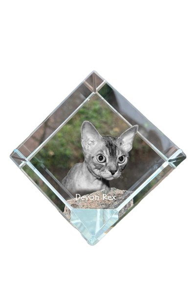 Art - Dog Prespapier Cub de Cristal Art-Dog Devon Rex cu Gravură Pisică - Cri...