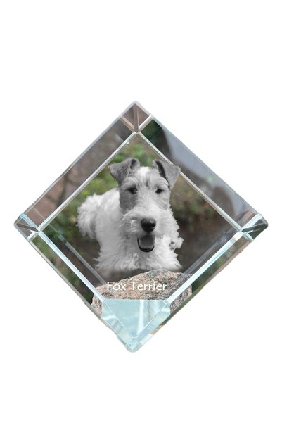 Art - Dog Prespapier Cub de Cristal Art-Dog cu Fox Terrier și Gravură de Câin...