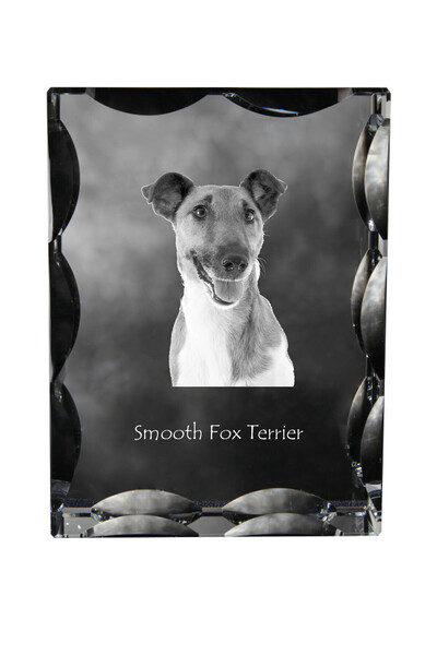 Art - Dog Art-Dog Cristal dreptunghiular cu margini decorative, Fox Terrier n...