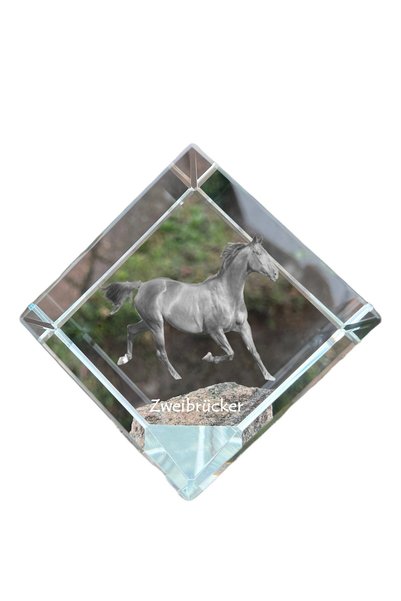 Art - Dog Prespapier cub de cristal Art-Dog Zweibrücker cu gravură de cal - C...