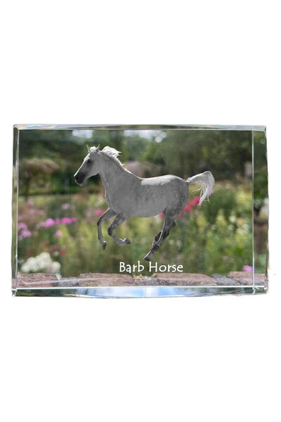 Art - Dog Art-Dog Cristal Mare cu Margini Decorative, Barb de Cal cu Gravură ...