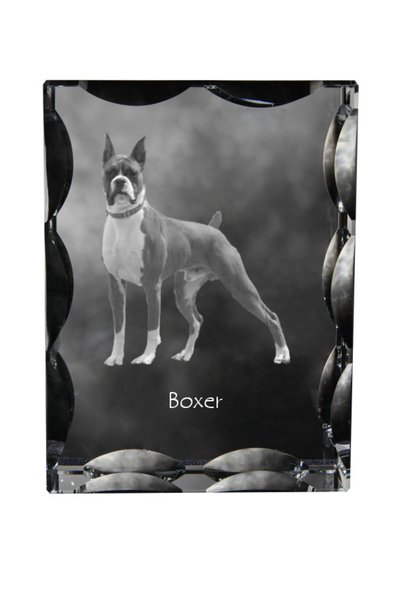 Art - Dog Cutie dreptunghiulară din cristal Art-Dog cu margini decorative și ...