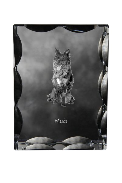 Art - Dog Art-Dog Cristal dreptunghiular cu margini decorative Mudi cu gravur...