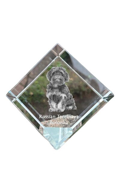 Art - Dog Prespapier cub de cristal Art-Dog, Bolonka Rusă Tsvetnaya, cu gravu...