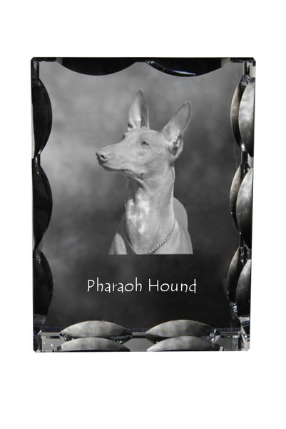 Art - Dog Art-Dog Cristal dreptunghiular cu margini decorative, Câine Faraon ...