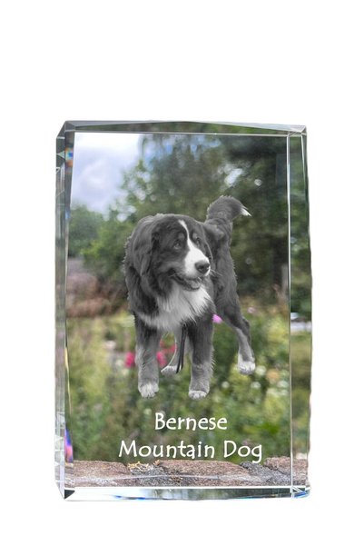 Art - Dog Art-Dog Cristal Mare cu Margini Decorative Câine de Munte Bernese c...