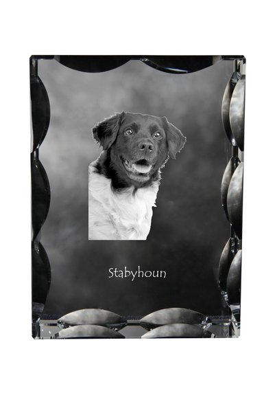 Art - Dog Art-Dog Cristal dreptunghiular cu margini decorative Stabyhoun cu g...
