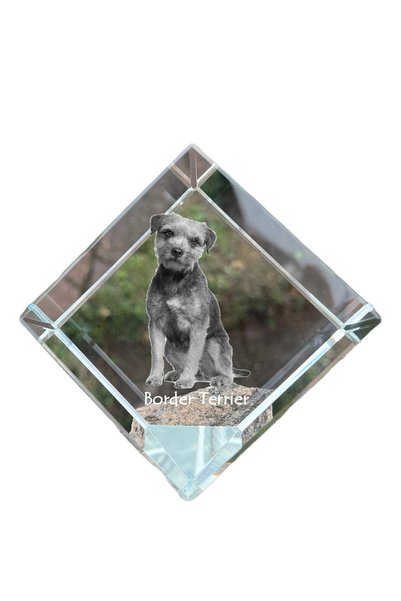 Art - Dog Prespapier Cub de Cristal Art-Dog Border Terrier cu Gravură de Câin...