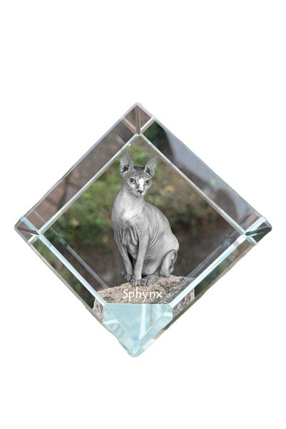 Art - Dog Prespapier Cub de Cristal Art-Dog Pisică Sfincs cu Gravură Pisică -...