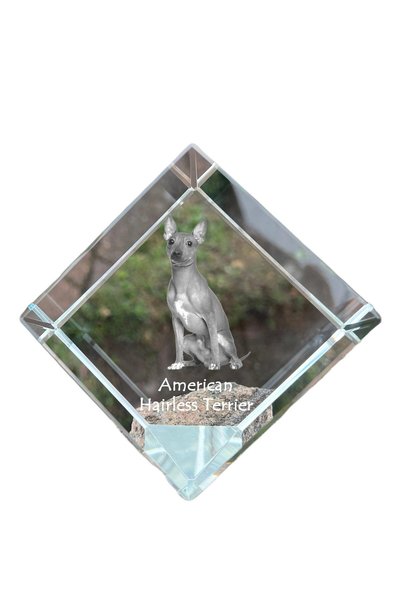 Art - Dog Prespapier cub de cristal Art-Dog, Terrier american fără păr, cu gr...