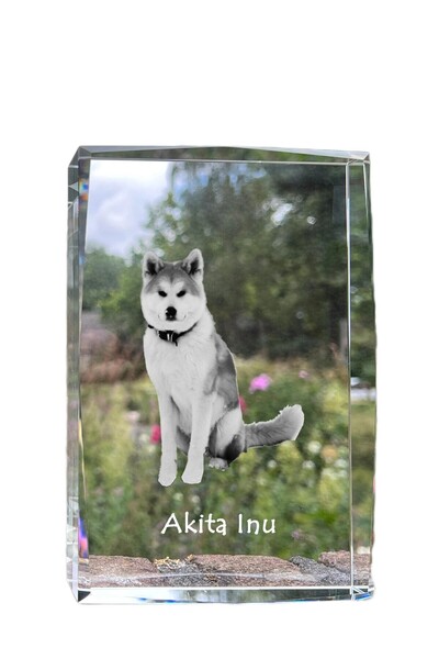 Art - Dog Art-Dog Cristal Mare cu Margini Decorative Akita cu Gravură Câine