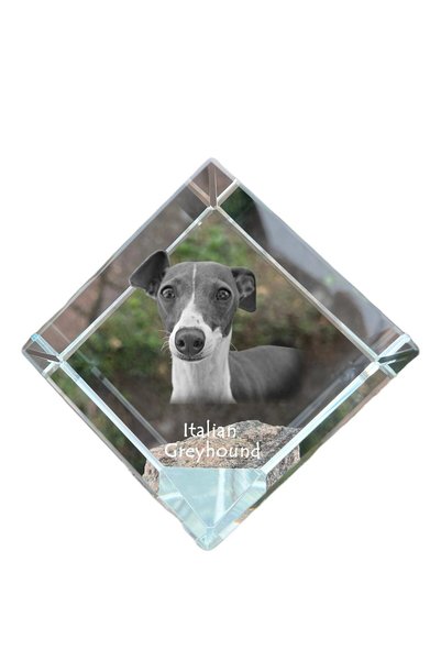 Art - Dog Prespapier Cub de Cristal Art-Dog cu Galghai Italian și Gravură cu ...