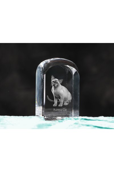 Art - Dog Prespapier de cristal Art-Dog, pisică birmană cu gravură de pisică ...