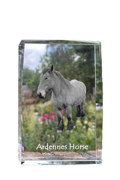 Art - Dog Art-Dog Cristal Mare cu Margini Decorative, Cal din Ardenne cu Grav...