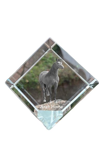 Art - Dog Prespapier cub de cristal Art-Dog, cal arab cu gravură de cal - Cri...