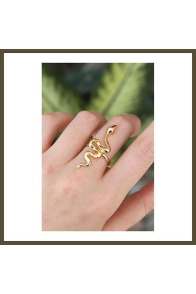 northcity n Gold-Plated Rice-Shaped Adjustable Snake Ring BX