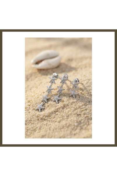 northcity n Set of 3 Silver-Colored Starfish-Style Earrings BX