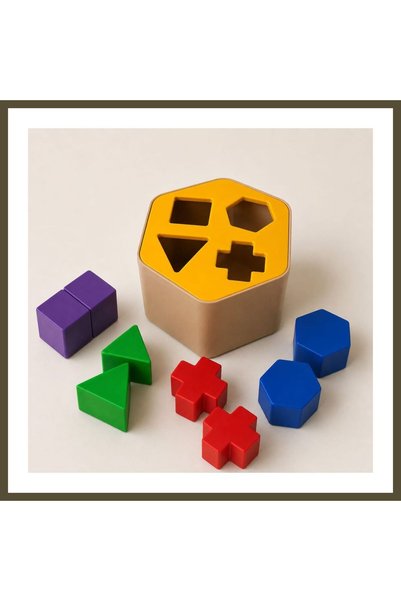 northcity n 3D-Printed Montessori Shape-Matching Box - Educational Geometric ...
