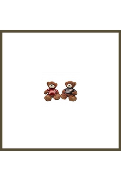 northcity n PL50160 45 CM BEAR IN A SWEATER BX