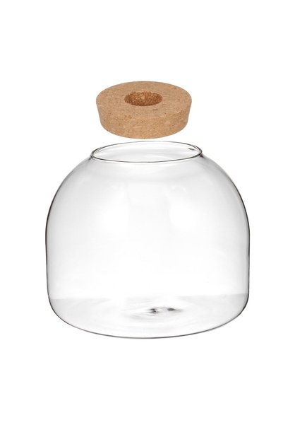 Generic Micro Landscape Glass Terrarium with Cork Lid Ecosystem Container for...