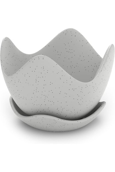 Generic Tulip Wave Plant Pot with Saucer and Drainage Holes, Petal Rim Flower...