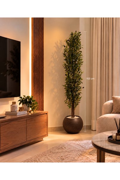 CENTRHOME Artificial Olive Tree with Two Branches with Spherical Basin - 165c...