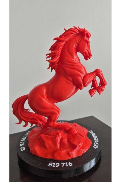 Feng Shui Şahlanan At