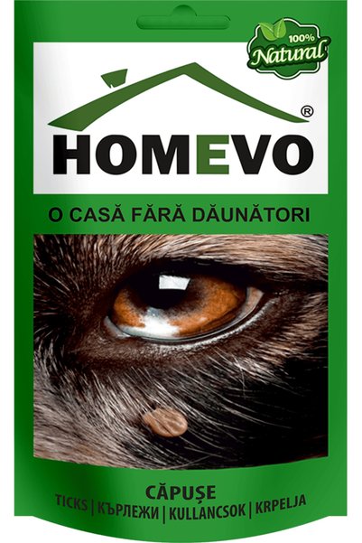 Homevo ȚÂNȚĂRI