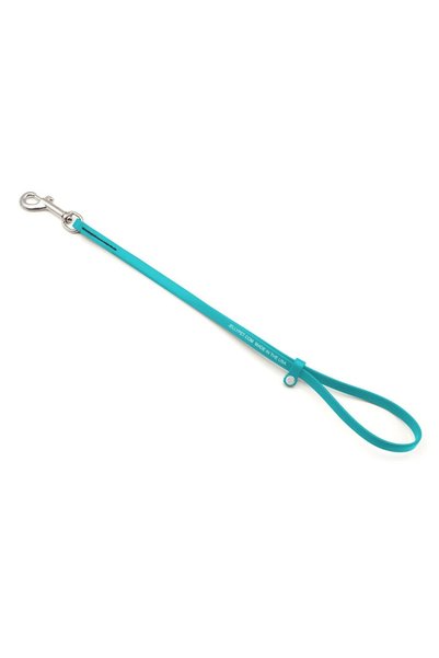 Generic Brand Jelly Pet Grooming Loop 3/8'' X24''[Color - Teal]