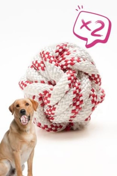 Proud Wave Köpek Oyuncağı 2 Adet Köpek Topu Eğitim Topu İpten Top 9 cm Büyük
