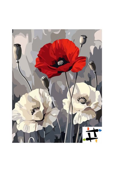 Painting-numbers Set pictura pe numere Vibratii in Monocrom si Rosu 6609, pan...