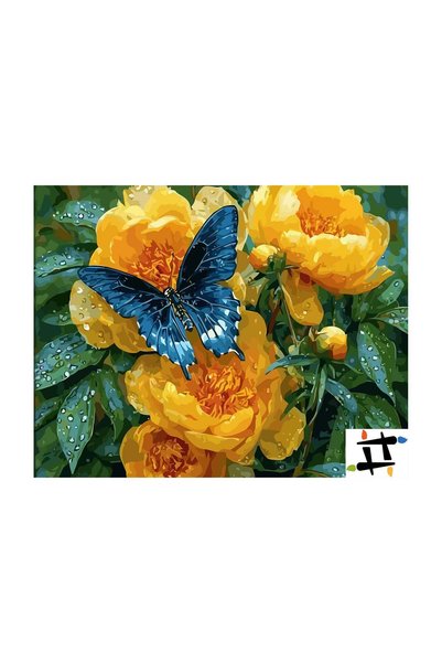 Painting-numbers Set pictura pe numere Lumina verii 6604, panza pe rama lemn,...