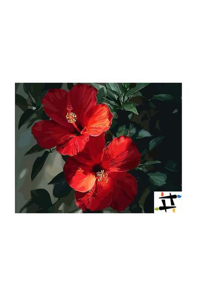 Painting-numbers Set pictura pe numere Rosu de Hibiscus 6562, panza pe rama l...