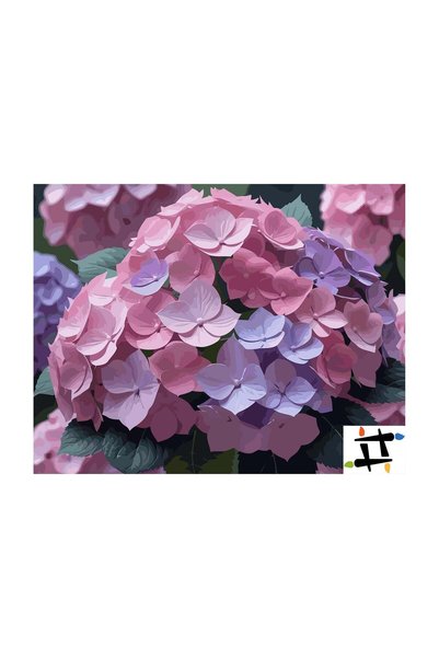 Painting-numbers Set pictura pe numere Gradina Tacuta 6704, panza pe rama lem...