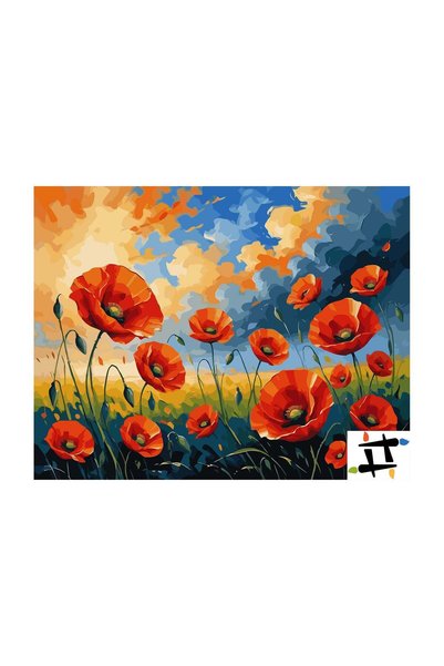 Painting-numbers Set pictura pe numere Campie cu Maci 6687, panza pe rama lem...