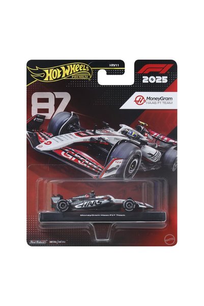 HOT WHEELS PREMIUM REAL RIDERS FORMULA 1 2024 MASINUTA METALICA MONEYGRAM HAA...