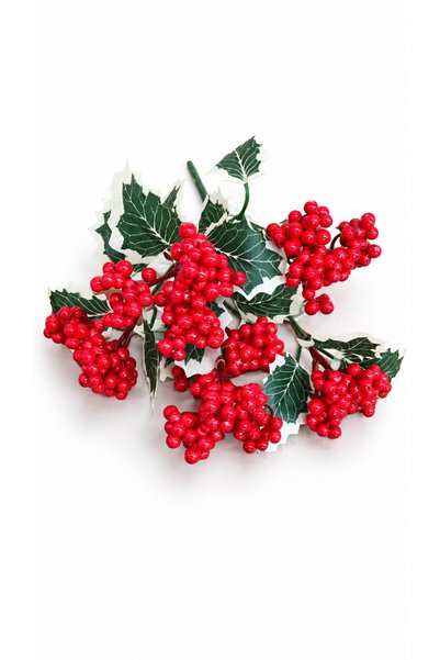 etxShop Floare artificială, buchet Ruscus Kokina cu 6 ramuri și frunze, 30 cm...