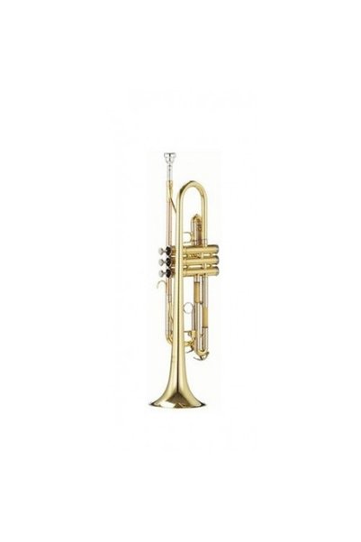 Parrot 6416 L