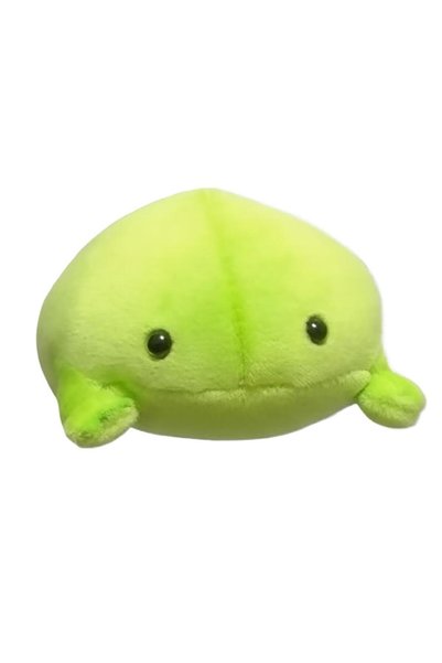 Choice B Funny Creative Watermelon Frog Plush Toy, Cute Novelty Stuffed Anima...