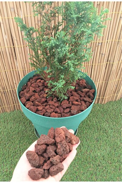 Ekodoğa Dekoratif Pomza Taşı 5 Kg 1-2 Cm Bahçe Dekor Taşı Kırmızı Pomza Tarım Pomzası Lav Taşı Cüruf Ponza