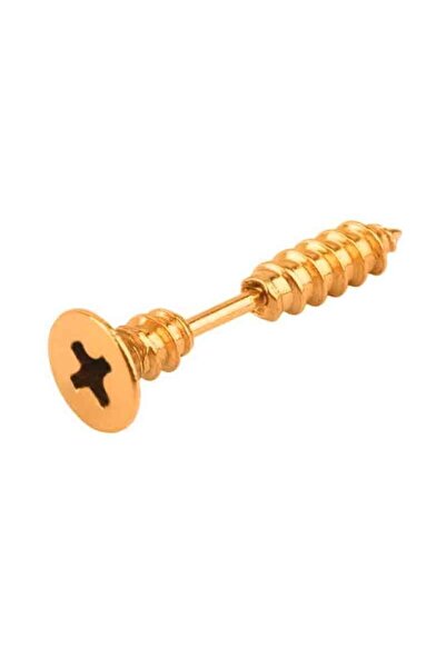 TREND COLLECTİON Unisex Gold Steel Screw Earrings