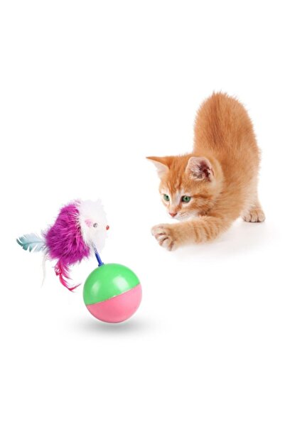 CatMozz Toplu Hacıyatmaz Kedi Oyuncağı