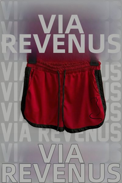 Vordevia Minimal Cat Printed Women's Sports Running and Fitness Shorts with S...