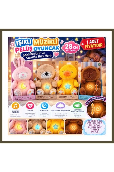 northcity n PL50123 28 CM LIGHT-UP MUSIC-PLAYING Plush Toy, Emotional Plush (...