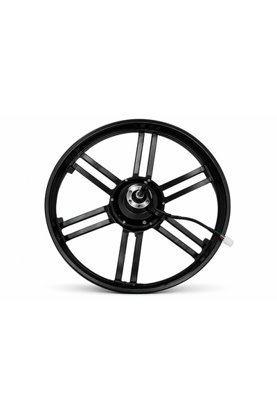 Ape Ryder A10 ARKA JANT V E MOTOR