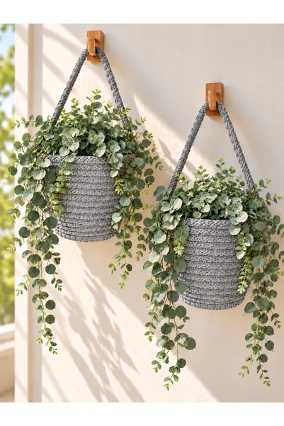 EGE ÖRGÜM Saksılık Mini Dekoratif Sepet 2'li Mini Çiçeklik 12x10 Cm(BİTKİLER ...