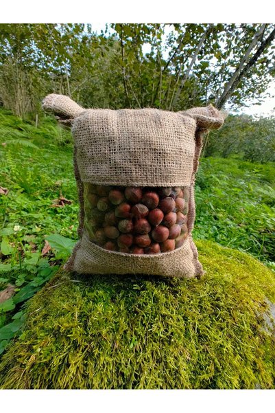 YAVAN Giresun Yağlı Fındık – 1 KG